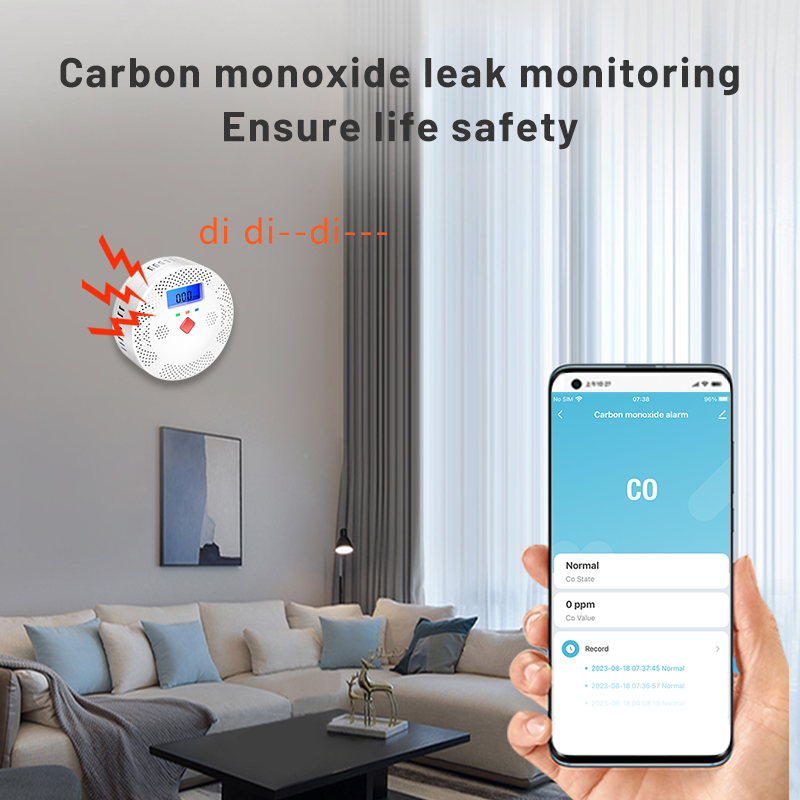 Tuya WiFi Smart Kohlenmonoxid- – Co Detector Plug Bewertung und Preis